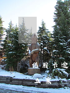信用卡逾期說什么立案了（信用卡逾期說什么立案）