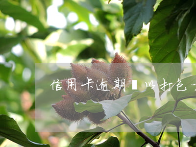 信用卡逾期說以打包方式打官司