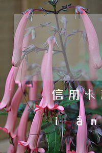 信用卡逾期說你是高風(fēng)險(xiǎn)客戶(信用卡逾期說你是高風(fēng)險(xiǎn)客戶什么意思)
