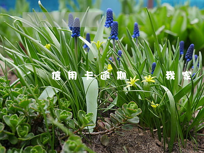 信用卡逾期說來我家