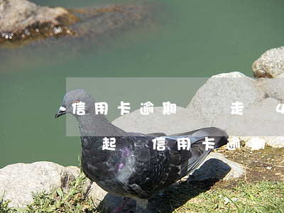 信用卡逾期說來走訪(4006995558說起訴信用卡逾期)
