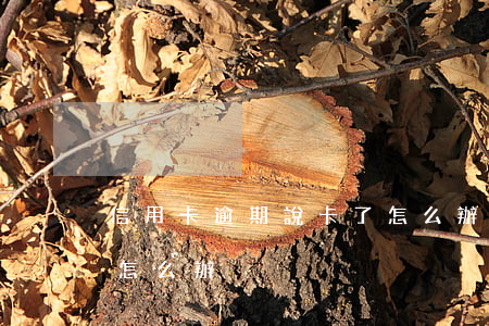 信用卡逾期說卡了怎么辦(信用卡逾期說卡了怎么辦)