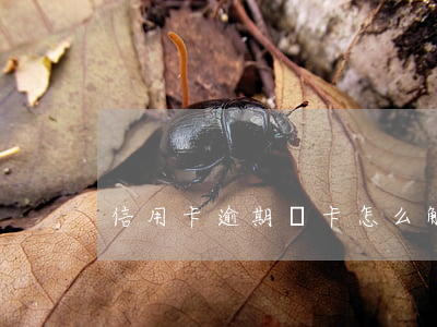 信用卡逾期說卡怎么解 逾期了申請信用卡
