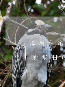 信用卡逾期說去家里核實(shí)(信用卡逾期會(huì)走訪家里?)