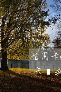 信用卡逾期說可以只還本金(為什么還了信用卡,說我逾期了)