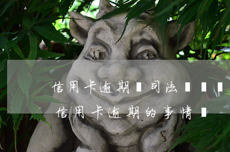 信用卡逾期說司法機關報案(當地司法局會管信用卡逾期的事情嗎)