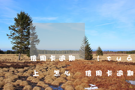 信用卡逾期說團(tuán)隊(duì)上門怎么辦（信用卡逾期說團(tuán)隊(duì)上門）