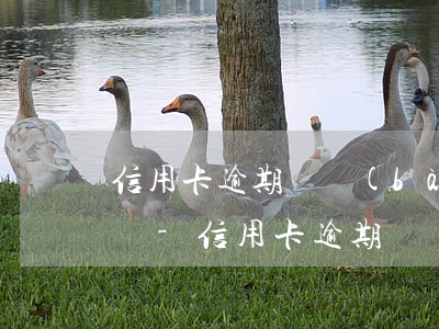 信用卡逾期說報(bào)案處理了是真的嗎-信用卡逾期說報(bào)案處理了是真的嗎嗎