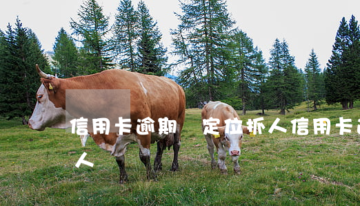 信用卡逾期說定位抓人(信用卡逾期說定位抓人)