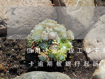 信用卡逾期說工單下來了準備起訴-如信用卡逾期被銀行起訴了,函件是寄到哪里