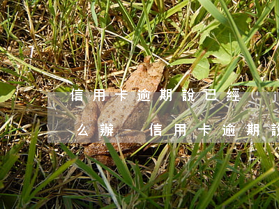 信用卡逾期說已經(jīng)提起訴訟怎么辦-信用卡逾期說已經(jīng)提起訴訟怎么辦呢