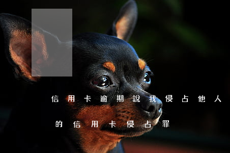 信用卡逾期說我侵占他人財產 使用他人保管的信用卡 侵占罪