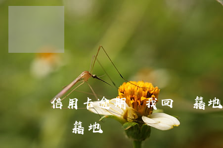 信用卡逾期說我回戶籍地(信用卡逾期說我回戶籍地)
