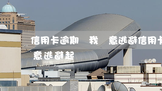 信用卡逾期說我惡意逃避 信用卡逾期說我惡意逃避起訴