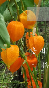 信用卡逾期說我惡意透支怎么回復(fù)-信用卡逾期說我惡意透支怎么回復(fù)他