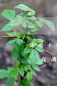 信用卡逾期說我消費記錄有問題(信用卡逾期說我消費記錄有問題)