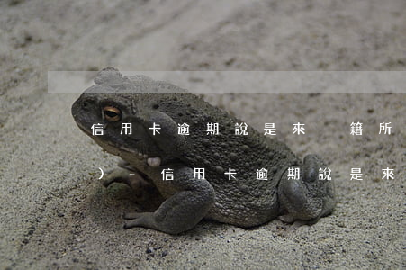 信用卡逾期說是來戶籍所在地核實(shí)-信用卡逾期說是來戶籍所在地核實(shí)是真的嗎