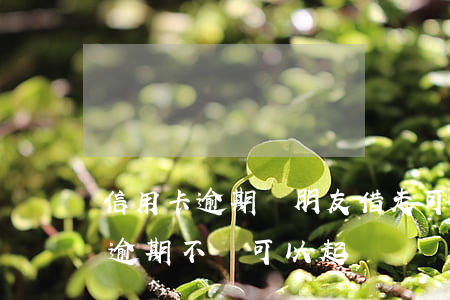 信用卡逾期說朋友借走可以嗎(朋友借信用卡逾期不還可以起訴嗎)