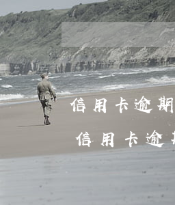 信用卡逾期說立案了然后就不打我電話了-信用卡逾期說立案了然后就不打我電話了嗎