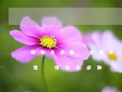 信用卡逾期說立案文書(發(fā)了一條短信說信用卡逾期)