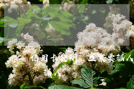 信用卡逾期說立案要抓人(信用卡逾期了會不會抓人)