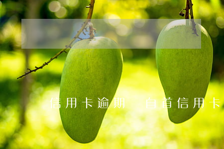 信用卡逾期說自首(信用卡逾期說自首)
