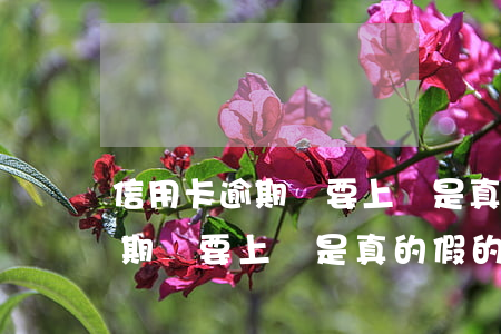 信用卡逾期說要上門是真的假的-信用卡逾期說要上門是真的假的怎么辦