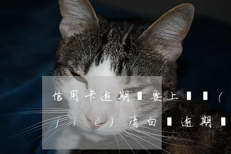信用卡逾期說要上門當(dāng)面結(jié)清(白條逾期說上門)