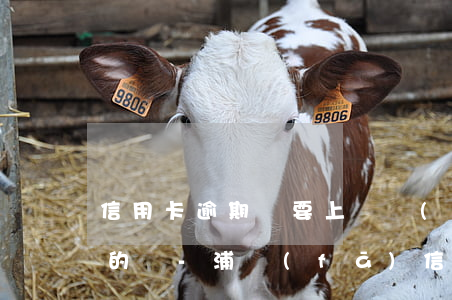 信用卡逾期說要上門調(diào)查是真的嗎?-浦發(fā)信用卡逾期說要上門調(diào)查是真的嗎?