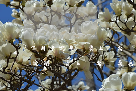 信用卡逾期說要上門走訪是真的嗎-信用卡逾期說要上門走訪是真的嗎嗎