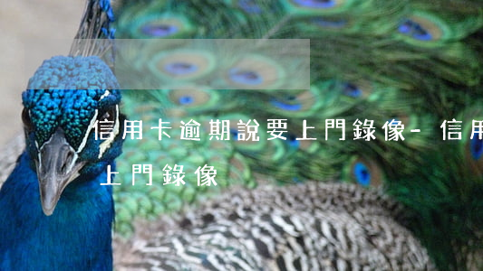 信用卡逾期說要上門錄像-信用卡逾期說要上門錄像
