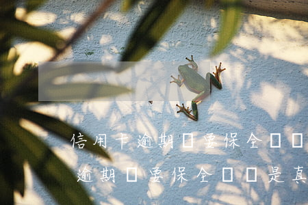 信用卡逾期說要保全財產是真的嗎-信用卡逾期說要保全財產是真的嗎嗎
