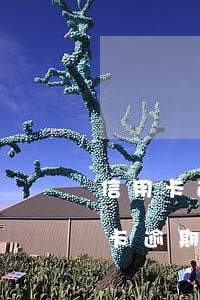 信用卡逾期說要全網(wǎng)公示 信用卡逾期說要全網(wǎng)公示