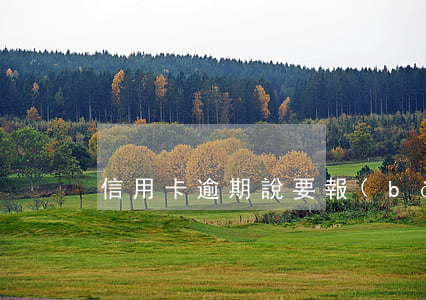 信用卡逾期說要報(bào)警怎么辦