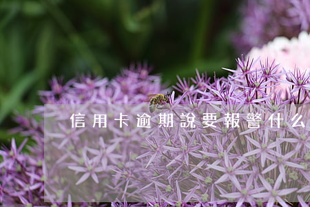 信用卡逾期說要報警(什么是信用卡惡意逾期)