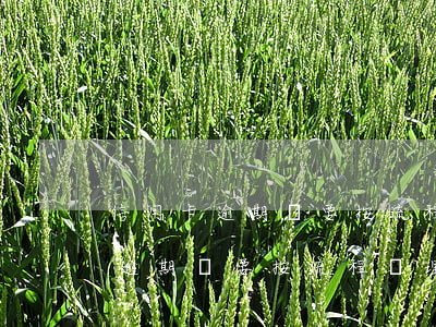 信用卡逾期說要按流程處理怎么辦-信用卡逾期說要按流程處理怎么辦呢