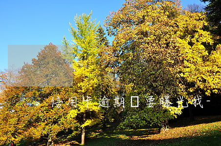 信用卡逾期說要曝光我-我信用卡逾期了