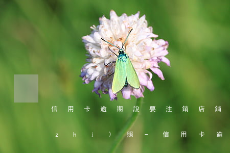 信用卡逾期說要注銷店鋪營業(yè)執(zhí)照-信用卡逾期說要注銷店鋪營業(yè)執(zhí)照是真的嗎