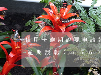 信用卡逾期說要申請報(bào)案(信用卡逾期說報(bào)案處理)