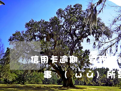 信用卡逾期說要移交律師(信用卡逾期到了律師事務(wù)所是什么階段)