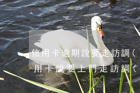 信用卡逾期說要走訪調(diào)查(欠信用卡說要上門走訪調(diào)查)