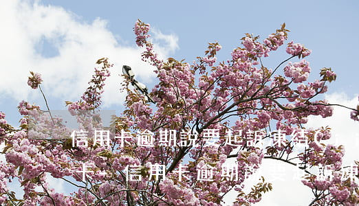 信用卡逾期說要起訴凍結(jié)我銀行卡-信用卡逾期說要起訴凍結(jié)我銀行卡是真的嗎
