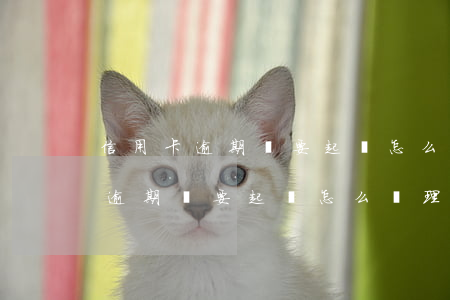 信用卡逾期說要起訴怎么辦理分期-信用卡逾期說要起訴怎么辦理分期還款