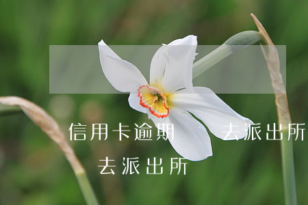 信用卡逾期說讓去派出所報備（信用卡逾期說讓去派出所）