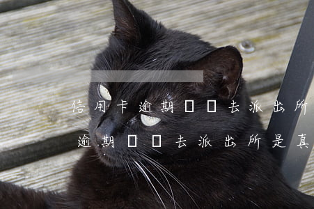 信用卡逾期說讓去派出所是真的嗎-信用卡逾期說讓去派出所是真的嗎嗎