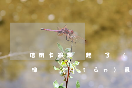 信用卡逾期說起訴了會(huì)怎么樣(有律師聯(lián)系我說信用卡逾期起訴了)