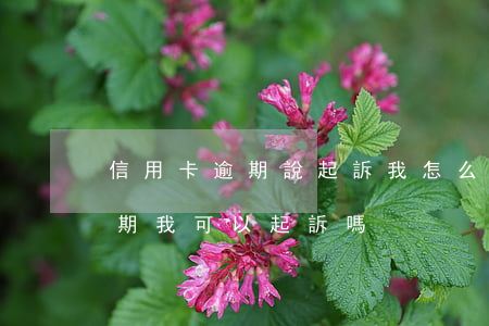 信用卡逾期說起訴我怎么辦(朋友用信用卡逾期,我可以起訴嗎)