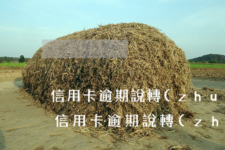 信用卡逾期說轉(zhuǎn)戶籍所在地(信用卡逾期說轉(zhuǎn)戶籍所在地)