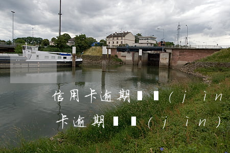 信用卡逾期說進(jìn)入司法程序(信用卡逾期說進(jìn)入司法程序)