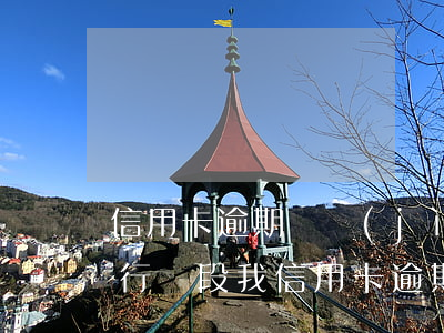 信用卡逾期說進(jìn)入執(zhí)行階段(我信用卡逾期了)